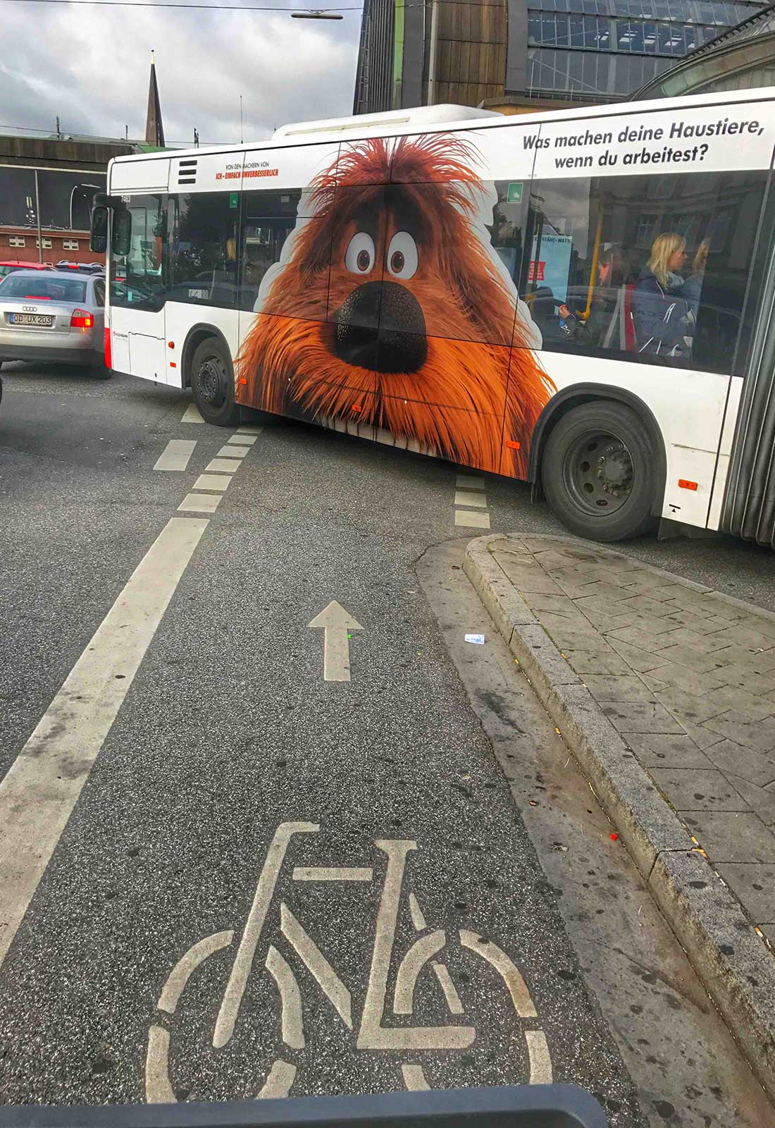 Hamburg fahrradtour, Radweg, Bus mit großem Hundebild