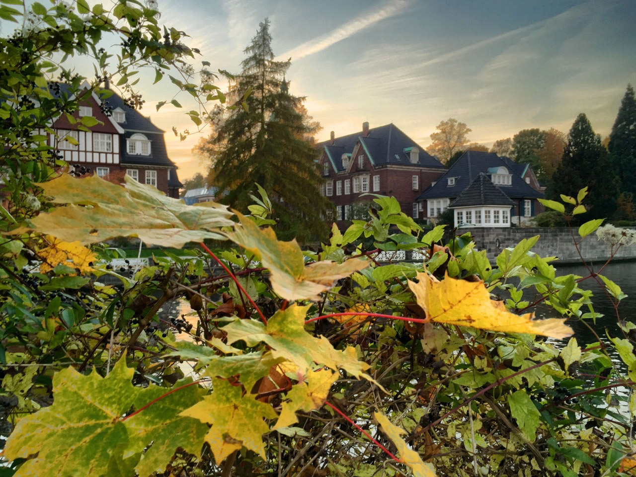 alster fahrradtour im herbst, impressionen