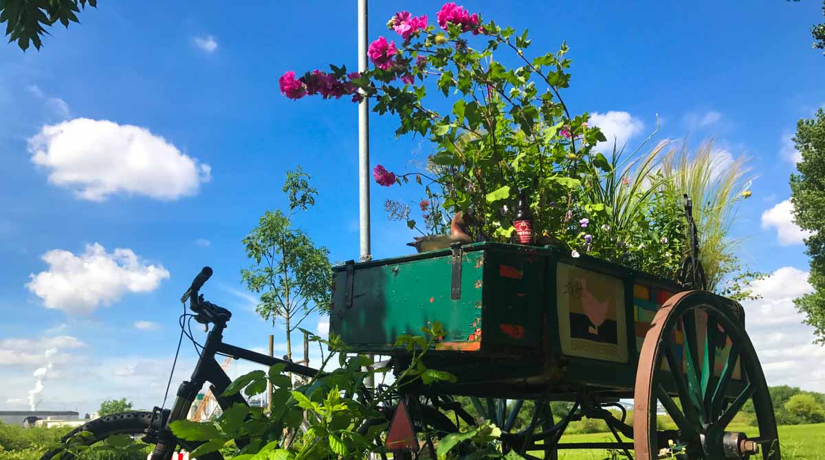 hamburg auskenner fahrradtour nach kaltehofe