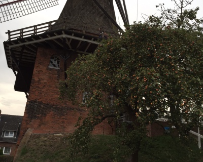 Radtour Altes Land, Mühle