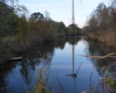 Windrad Altenwerder